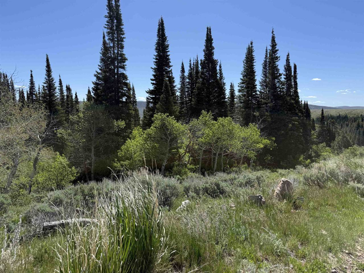 https://bt-photos.global.ssl.fastly.net/wyoming/1280_boomver_1_20262859-2.jpg