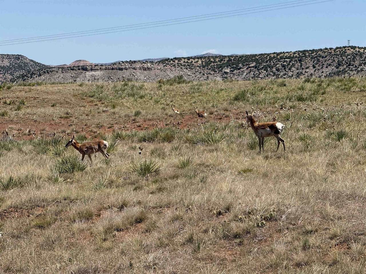 https://bt-photos.global.ssl.fastly.net/wyoming/1280_boomver_1_20262938-2.jpg