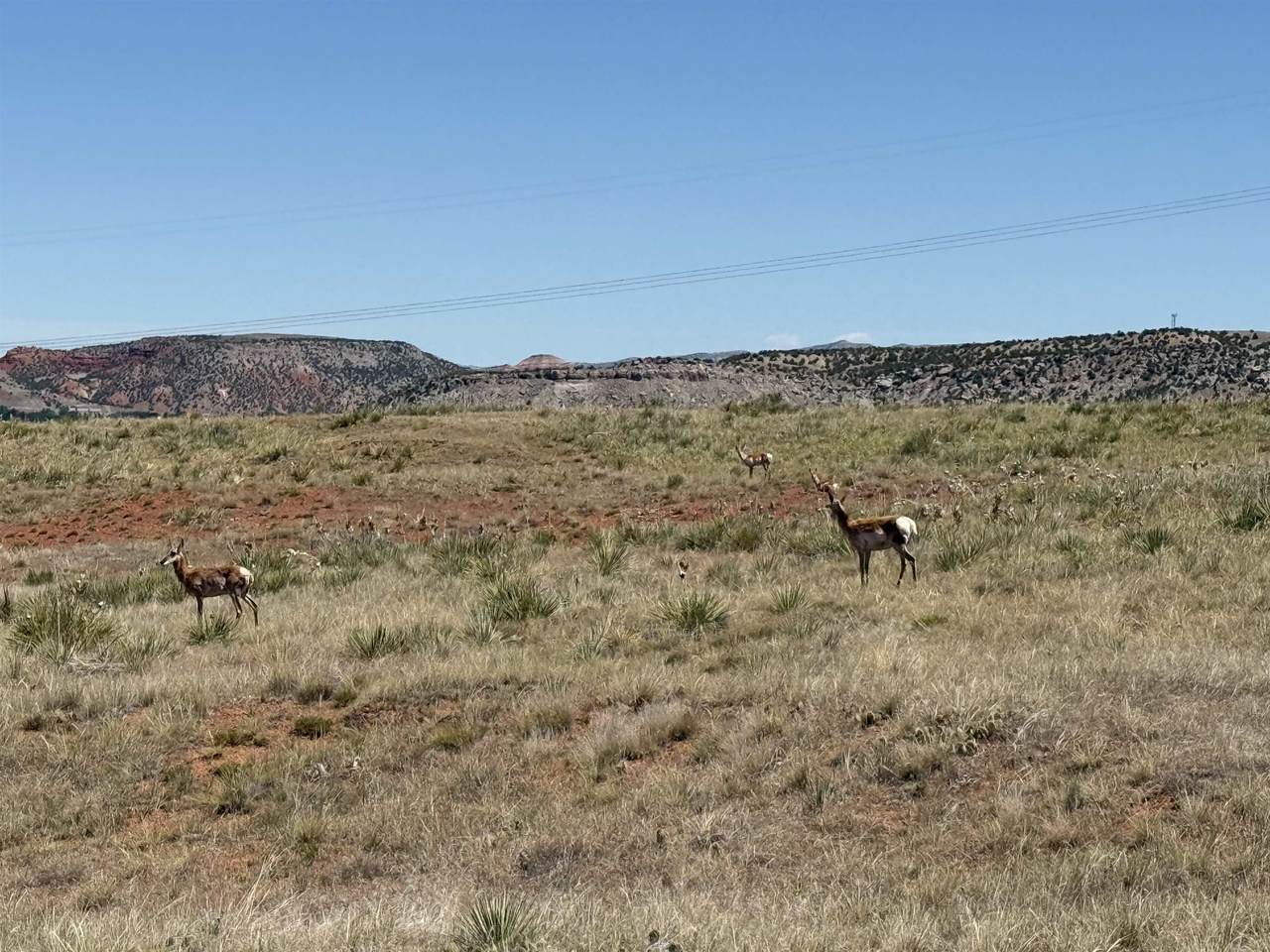 https://bt-photos.global.ssl.fastly.net/wyoming/1280_boomver_1_20262938-2.jpg