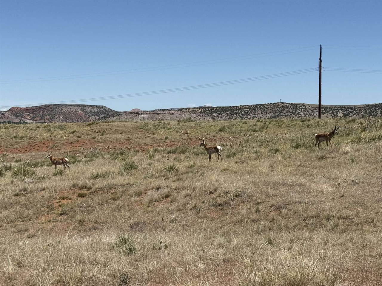 https://bt-photos.global.ssl.fastly.net/wyoming/1280_boomver_1_20262938-2.jpg