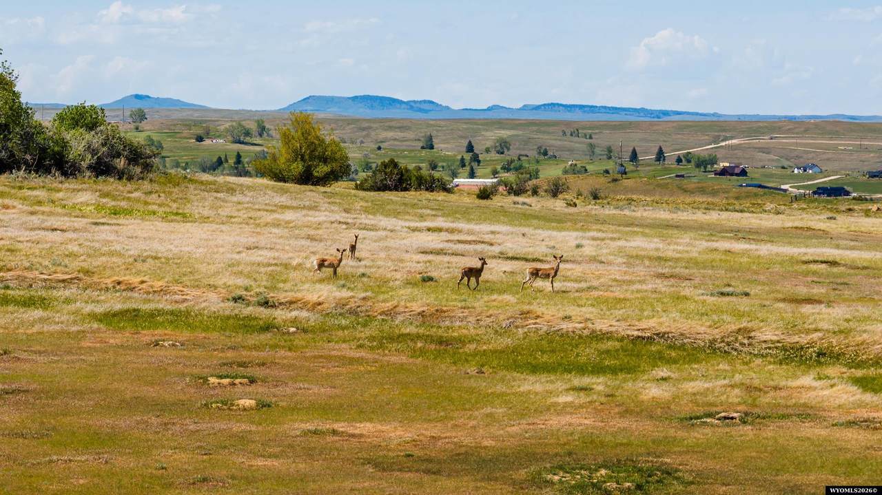 https://bt-photos.global.ssl.fastly.net/wyoming/1280_boomver_1_20263030-2.jpg