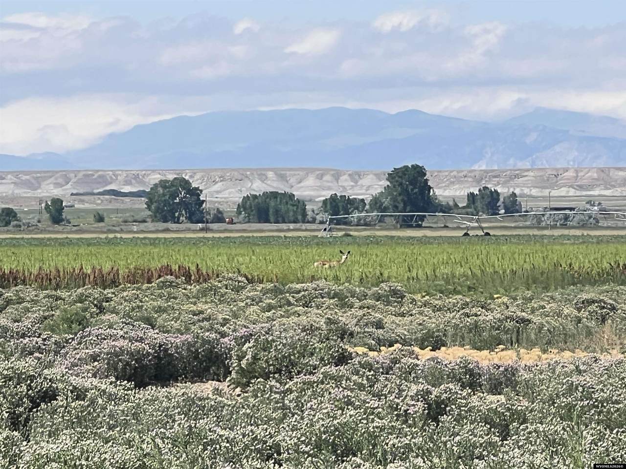 https://bt-photos.global.ssl.fastly.net/wyoming/1280_boomver_1_20263604-2.jpg