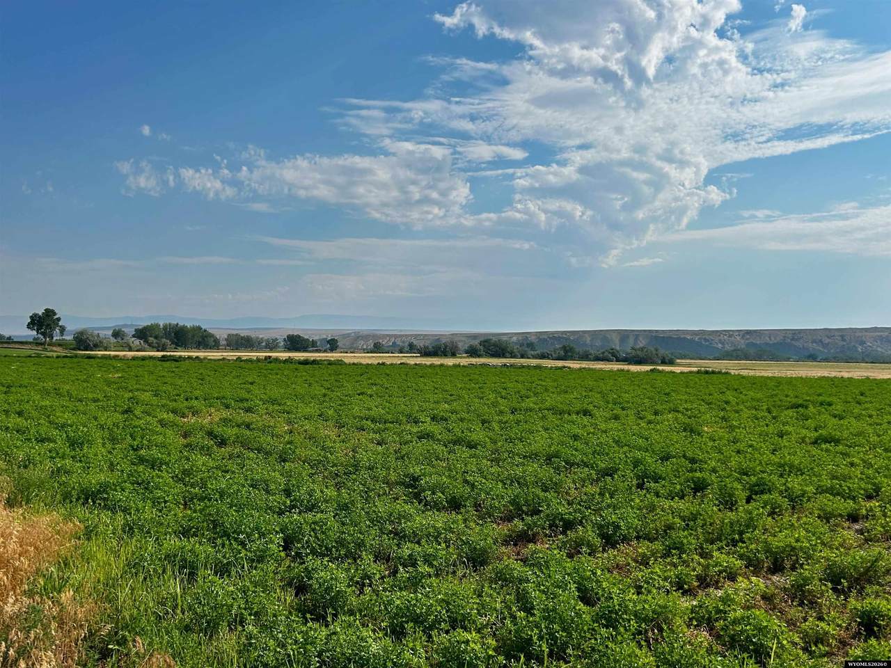 https://bt-photos.global.ssl.fastly.net/wyoming/1280_boomver_1_20263846-2.jpg