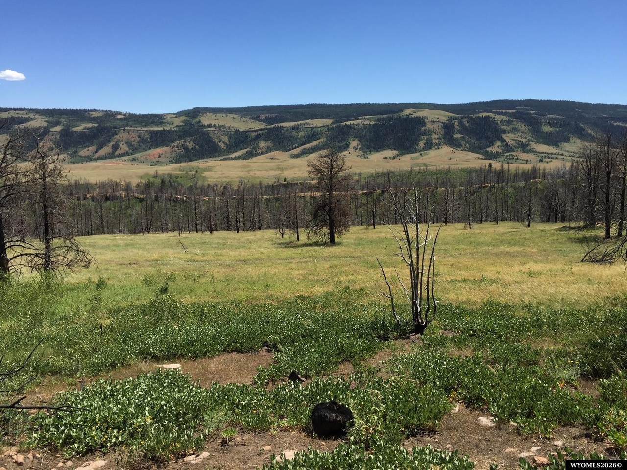  S. Crimson Dawn (40 Acres Rm) - Photo 1