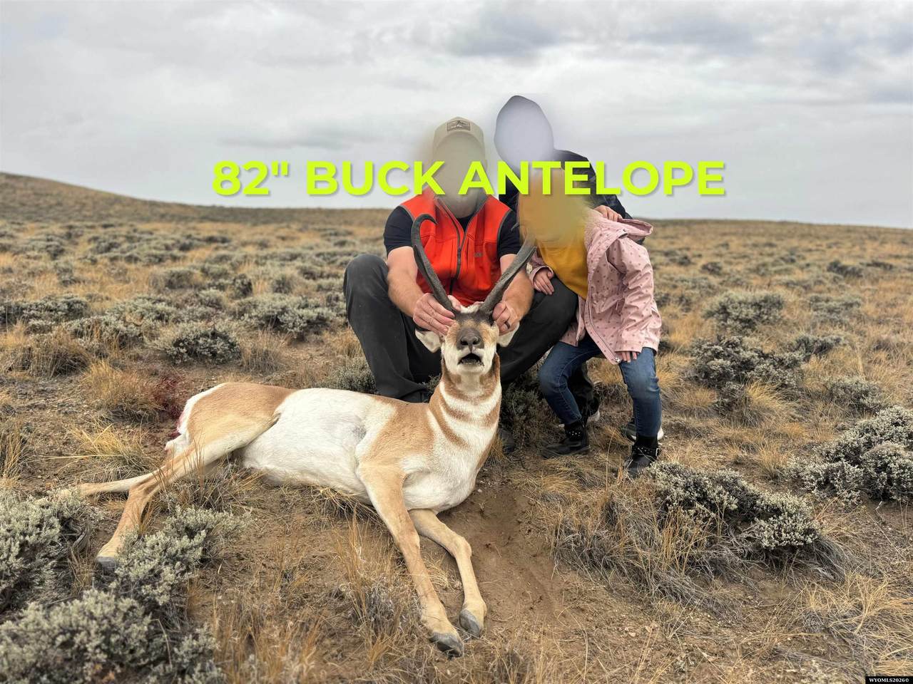 https://bt-photos.global.ssl.fastly.net/wyoming/1280_boomver_1_20264111-2.jpg