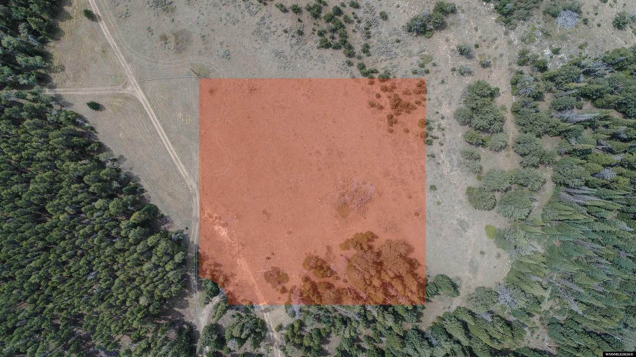 2340 Lodgepole - Photo 1