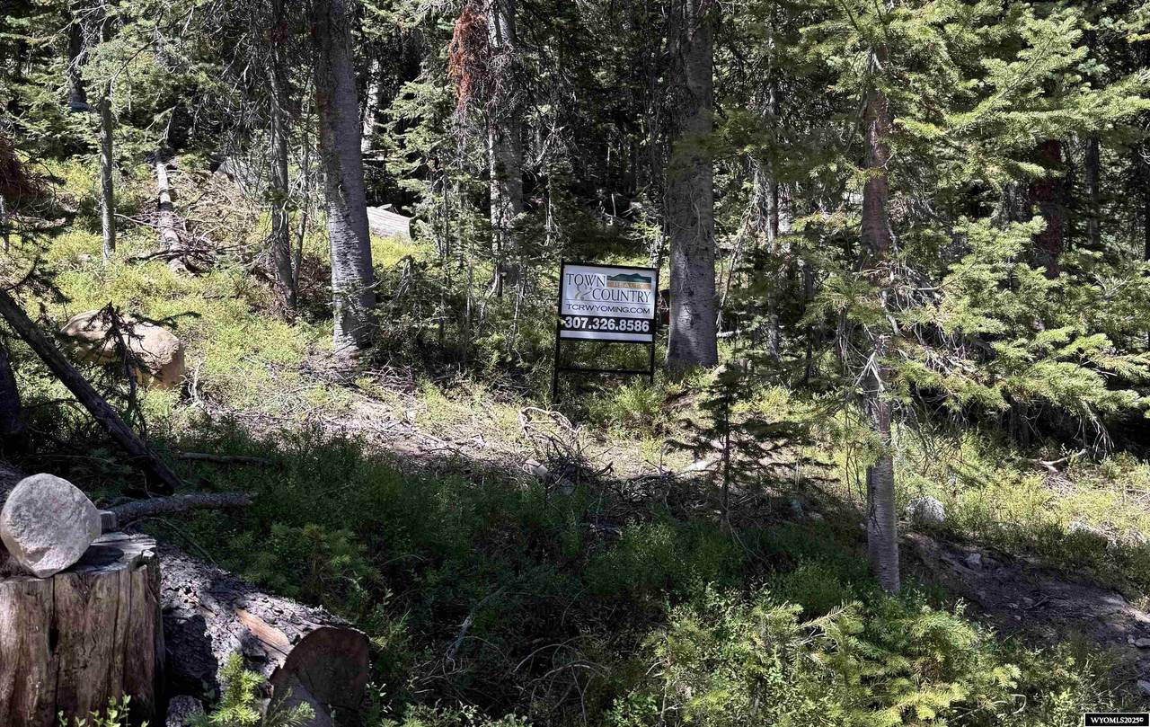 Tract 49 Overlook Retreat - Photo 1