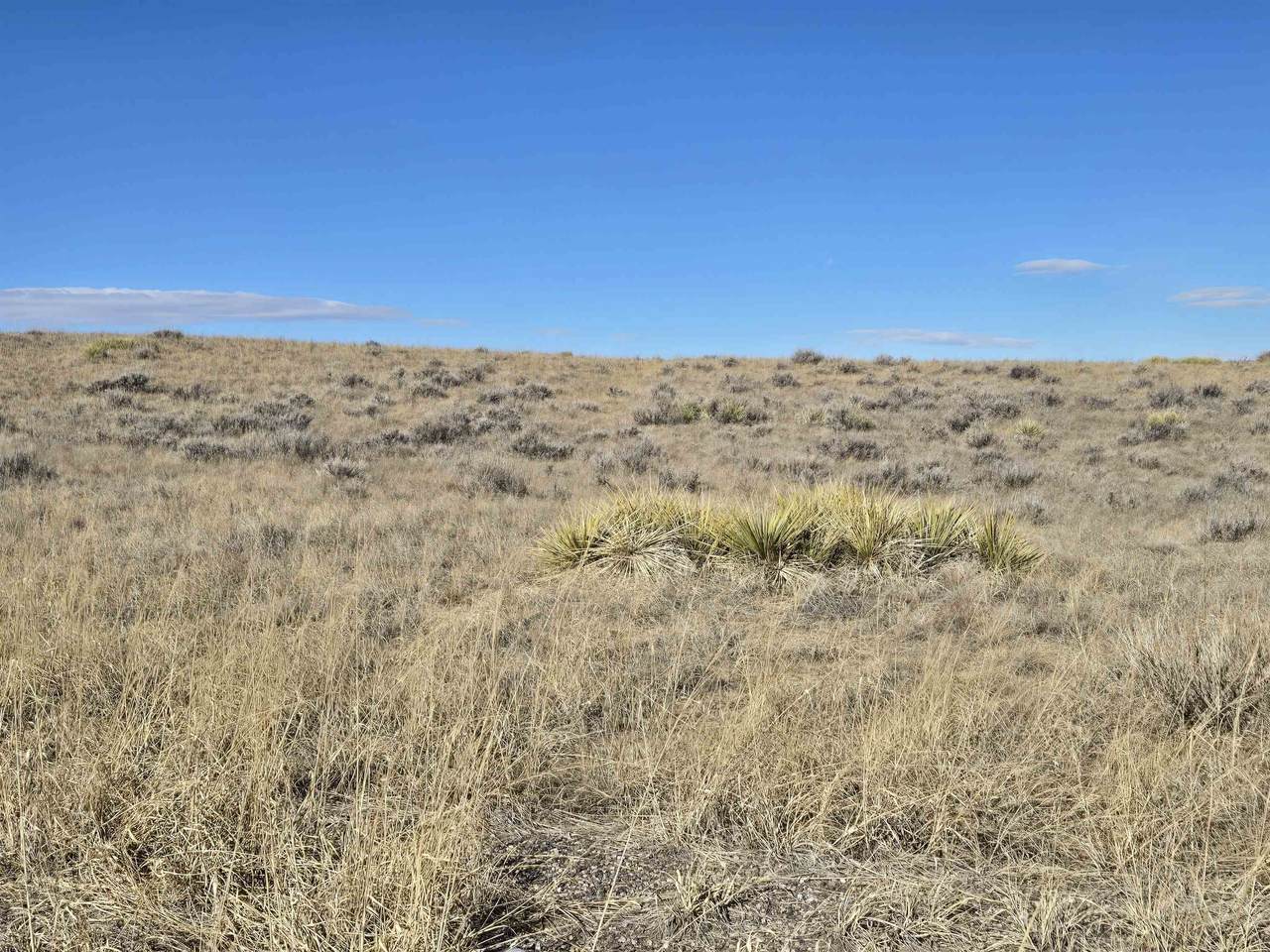 https://bt-photos.global.ssl.fastly.net/wyoming/1280_boomver_2_20260282-2.jpg