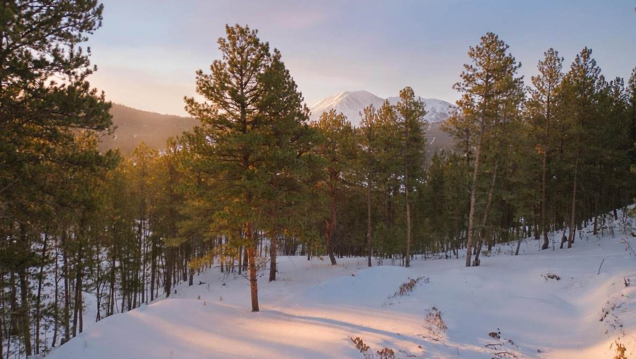 https://bt-photos.global.ssl.fastly.net/wyoming/1280_boomver_2_20261534-2.jpg