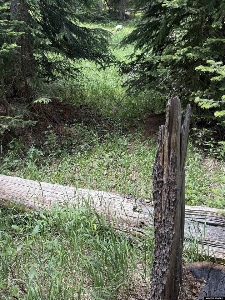 https://bt-photos.global.ssl.fastly.net/wyoming/1280_boomver_2_20263103-2.jpg