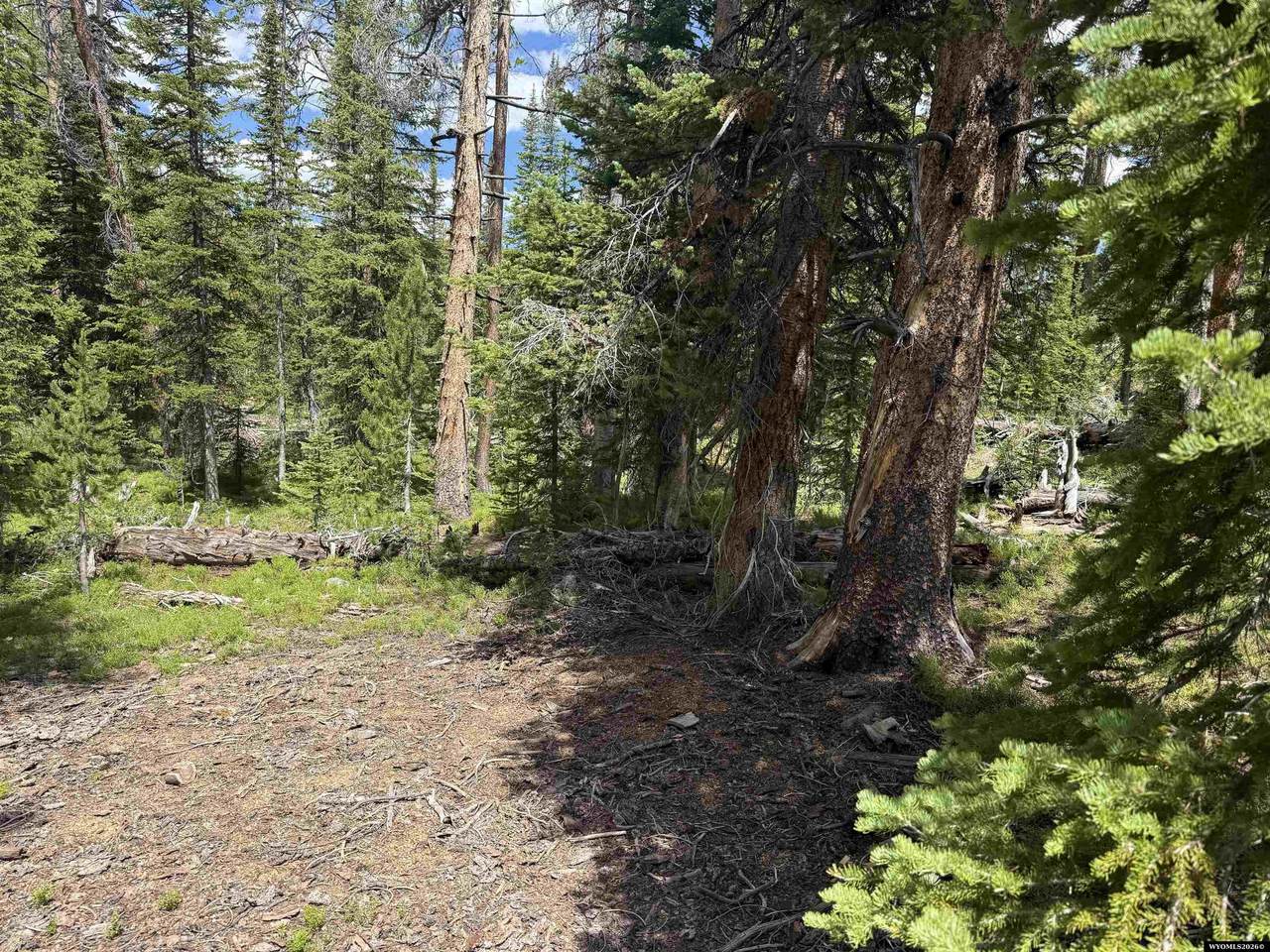 https://bt-photos.global.ssl.fastly.net/wyoming/1280_boomver_2_20263117-2.jpg