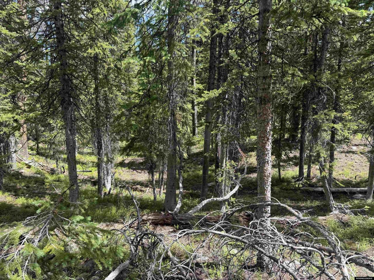 https://bt-photos.global.ssl.fastly.net/wyoming/1280_boomver_2_20263117-2.jpg