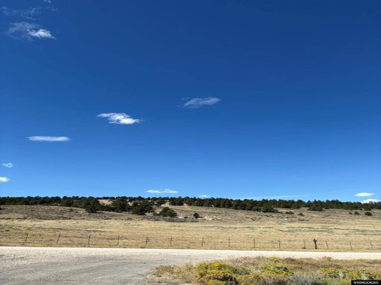 25730 Little Dog Road - Photo 1
