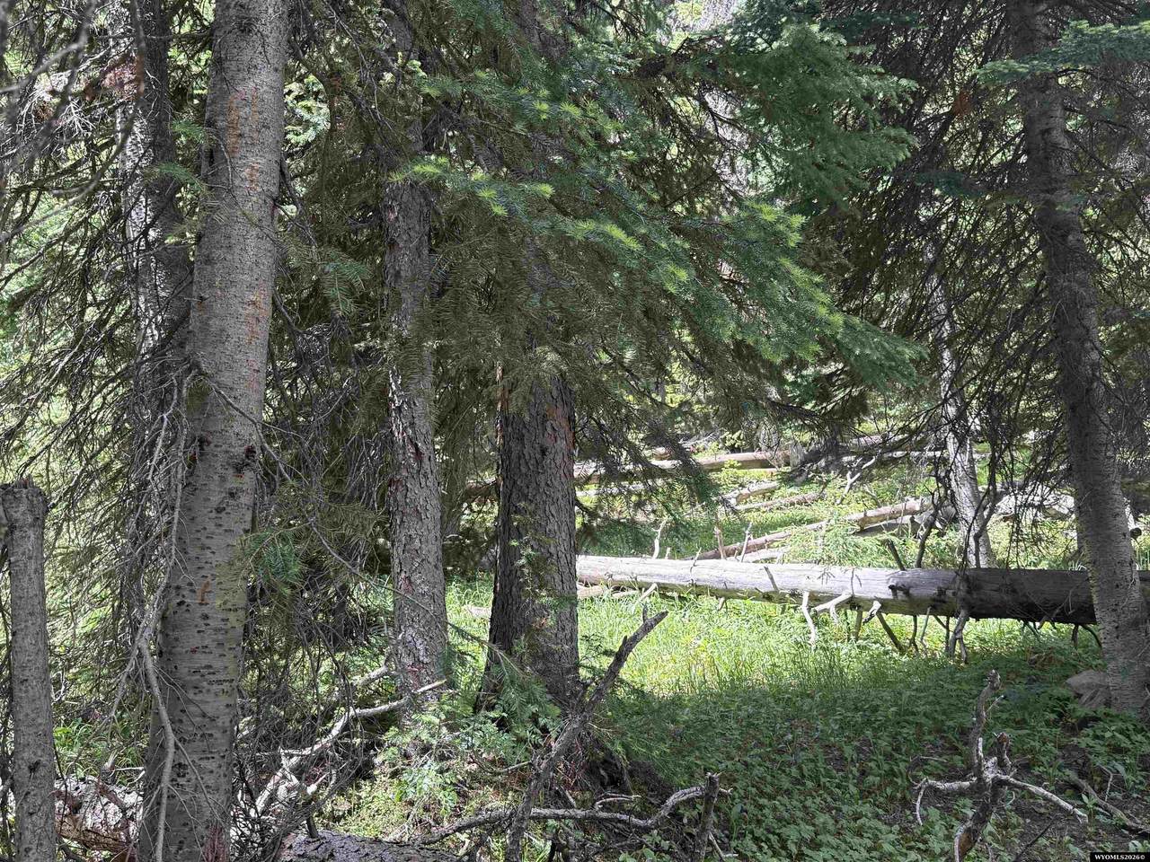 Tract 45 Overlook Retreat - Photo 1