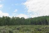 00 County Road 305 - Photo 15