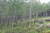 00 County Road 305 - Photo 17