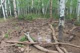 00 County Road 305 - Photo 19