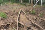 00 County Road 305 - Photo 20