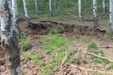 00 County Road 305 - Photo 21