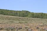 00 County Road 305 - Photo 32