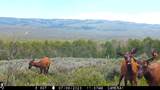 00 County Road 305 - Photo 43
