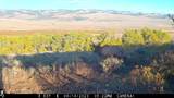 00 County Road 305 - Photo 45