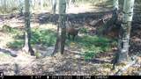 00 County Road 305 - Photo 46