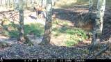 00 County Road 305 - Photo 47