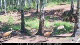 00 County Road 305 - Photo 48