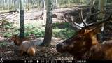 00 County Road 305 - Photo 49