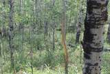 00 County Road 305 - Photo 7
