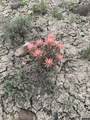 000 Paradise Valley Road - Photo 12