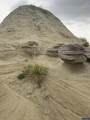 000 Paradise Valley Road - Photo 14