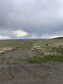 000 Paradise Valley Road - Photo 16