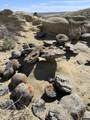 000 Paradise Valley Road - Photo 2