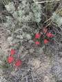 000 Paradise Valley Road - Photo 9