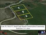 Lot 36 Horseshoe Meadow Lane - Photo 3