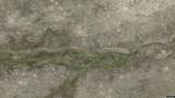 TRACT 8 Tavares Rd Road - Photo 12