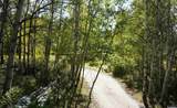 3 Forest Trail - Photo 43