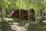 3 Forest Trail - Photo 44