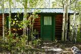 3 Forest Trail - Photo 46