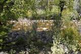 3 Forest Trail - Photo 48