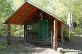 3 Forest Trail - Photo 49