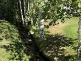 466 Cascade Street - Photo 30