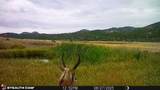  Old Fort Fetterman - Photo 22
