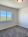 148 White Tail Court - Photo 32
