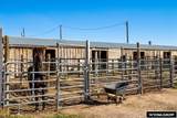 4717 Thomas Street - Photo 6