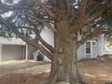 1317 Walnut Street - Photo 40