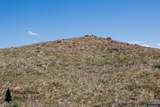 Track 272 Desperado Drive - Photo 34