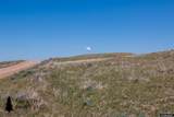 Track 272 Desperado Drive - Photo 35